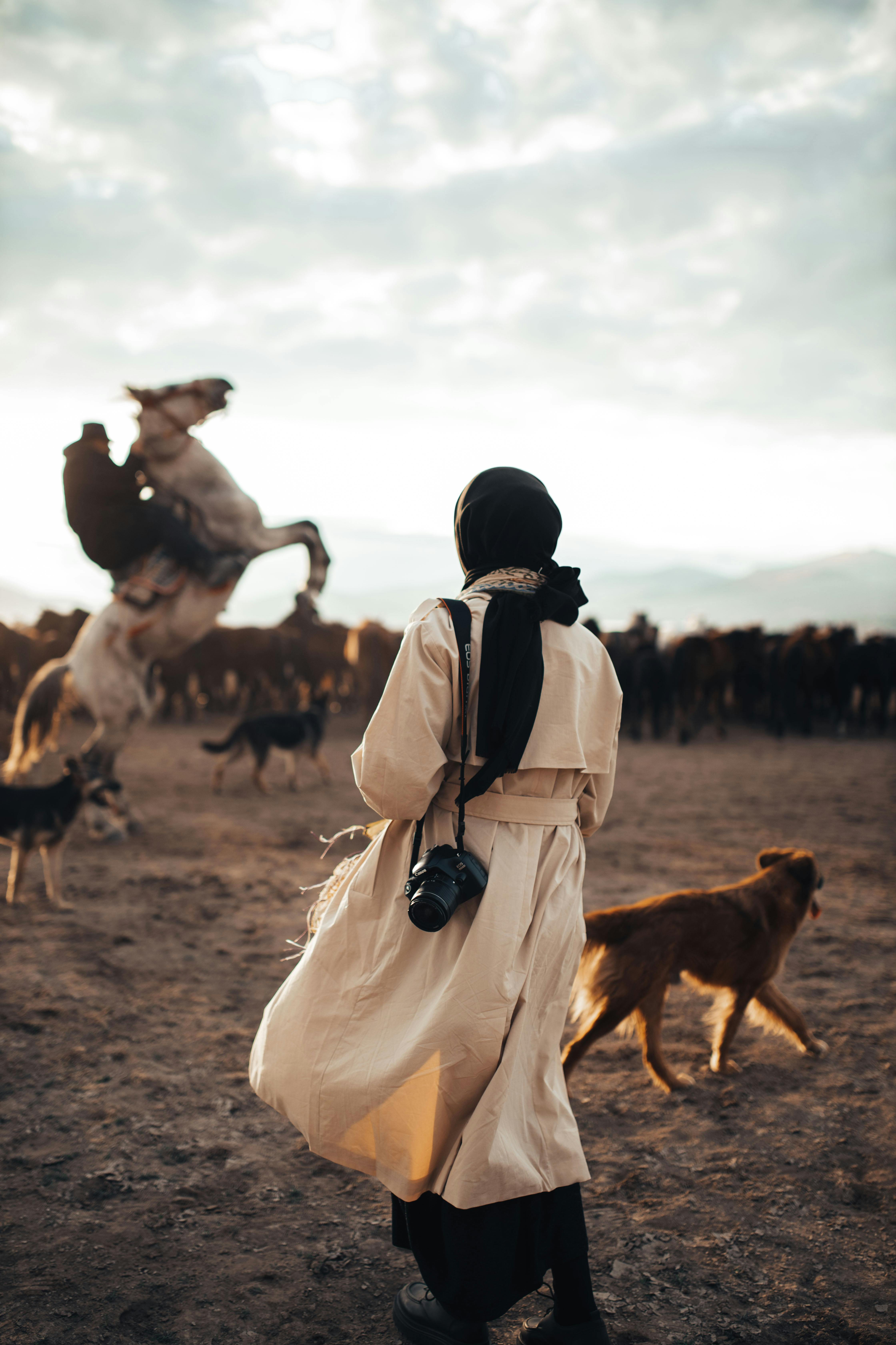 A woman in a beige trench coat and black hijab, with a camera slung over her shoulder, watching a horse rear up in a dusty field with other horses and dogs nearby.