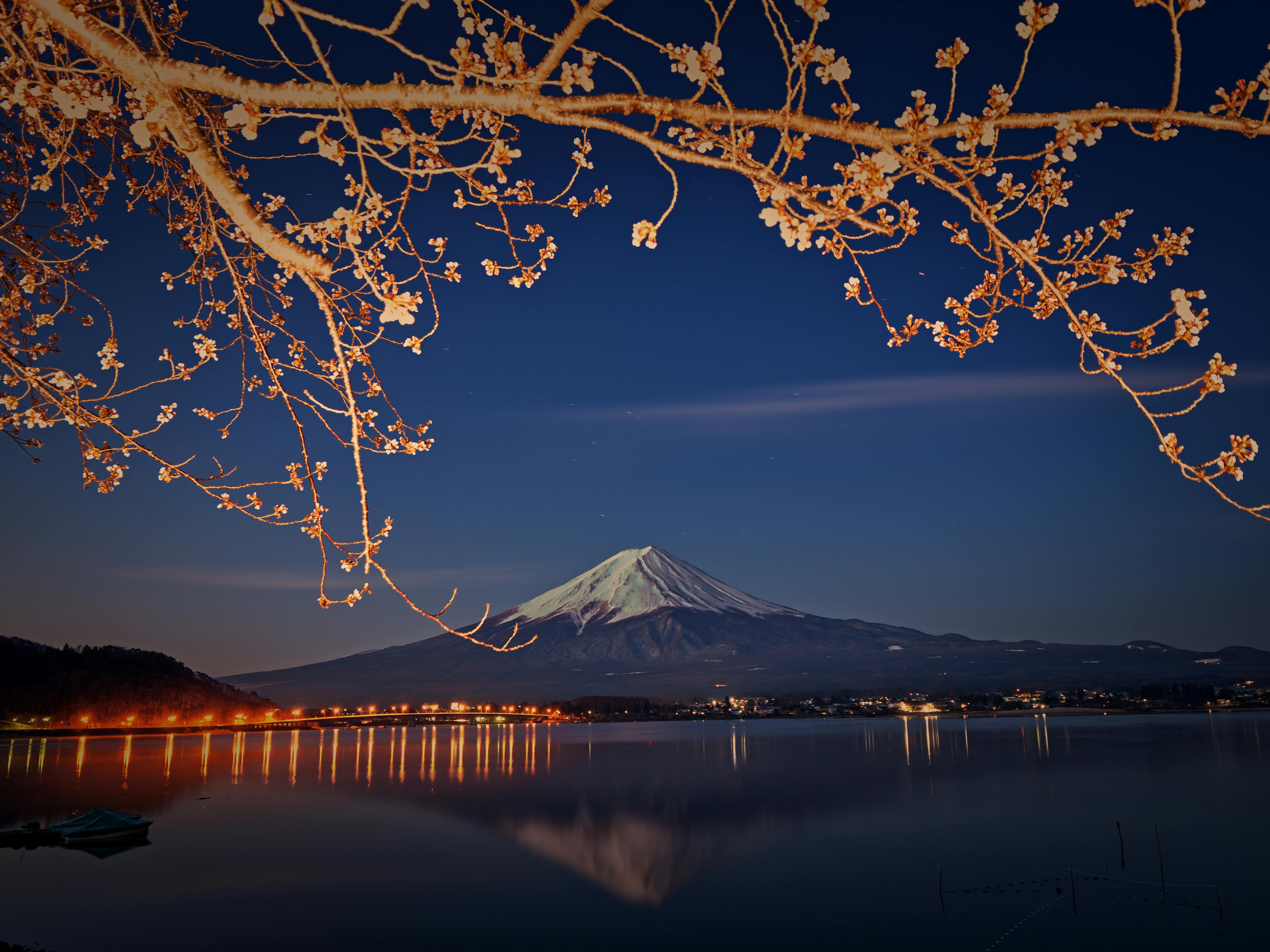 A breathtaking night view of Mount Fuji's snow-capped peak, framed by golden autumn leaves and reflected in Lake Kawaguchi.