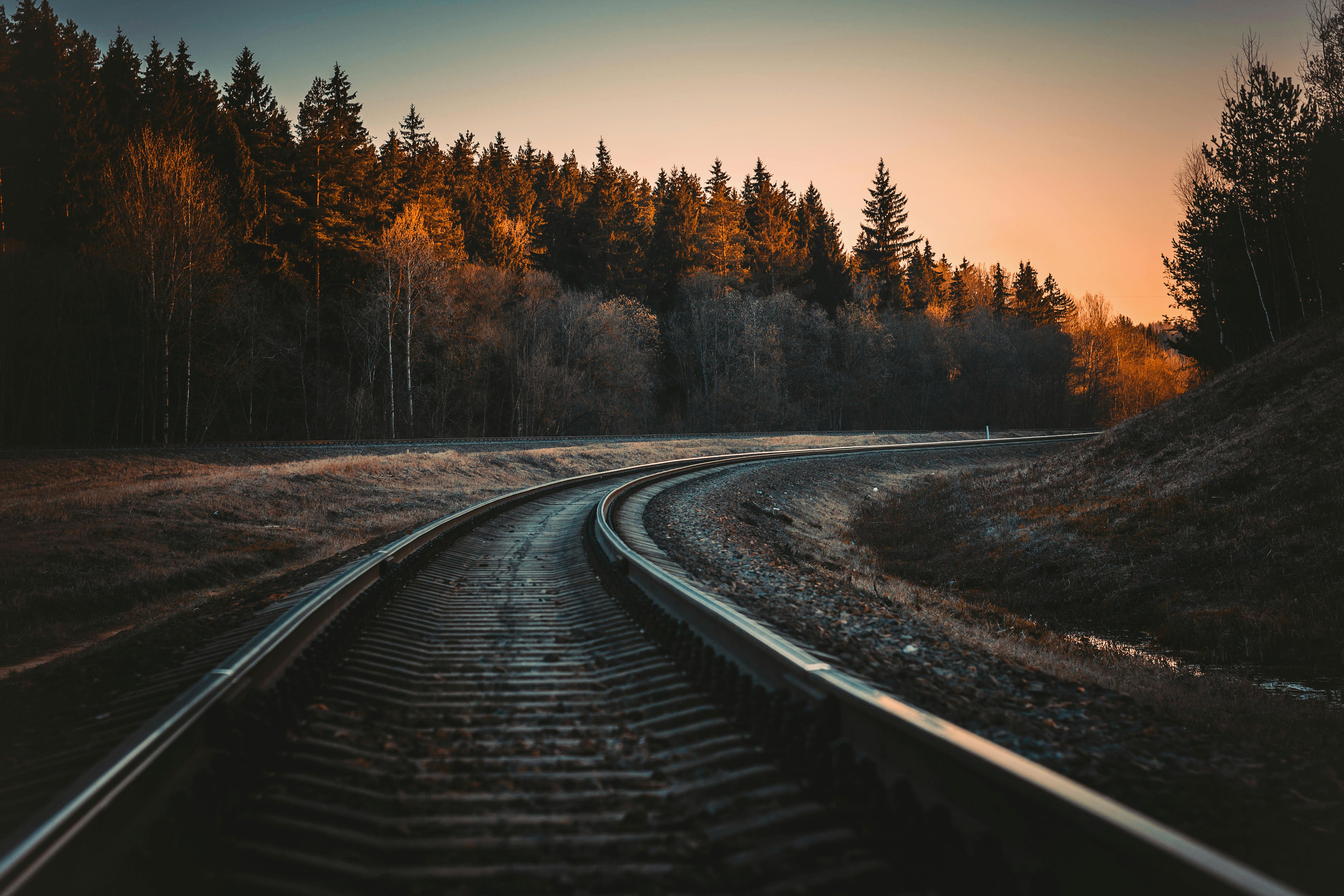 Curved railway track bending through an autumn forest at dusk