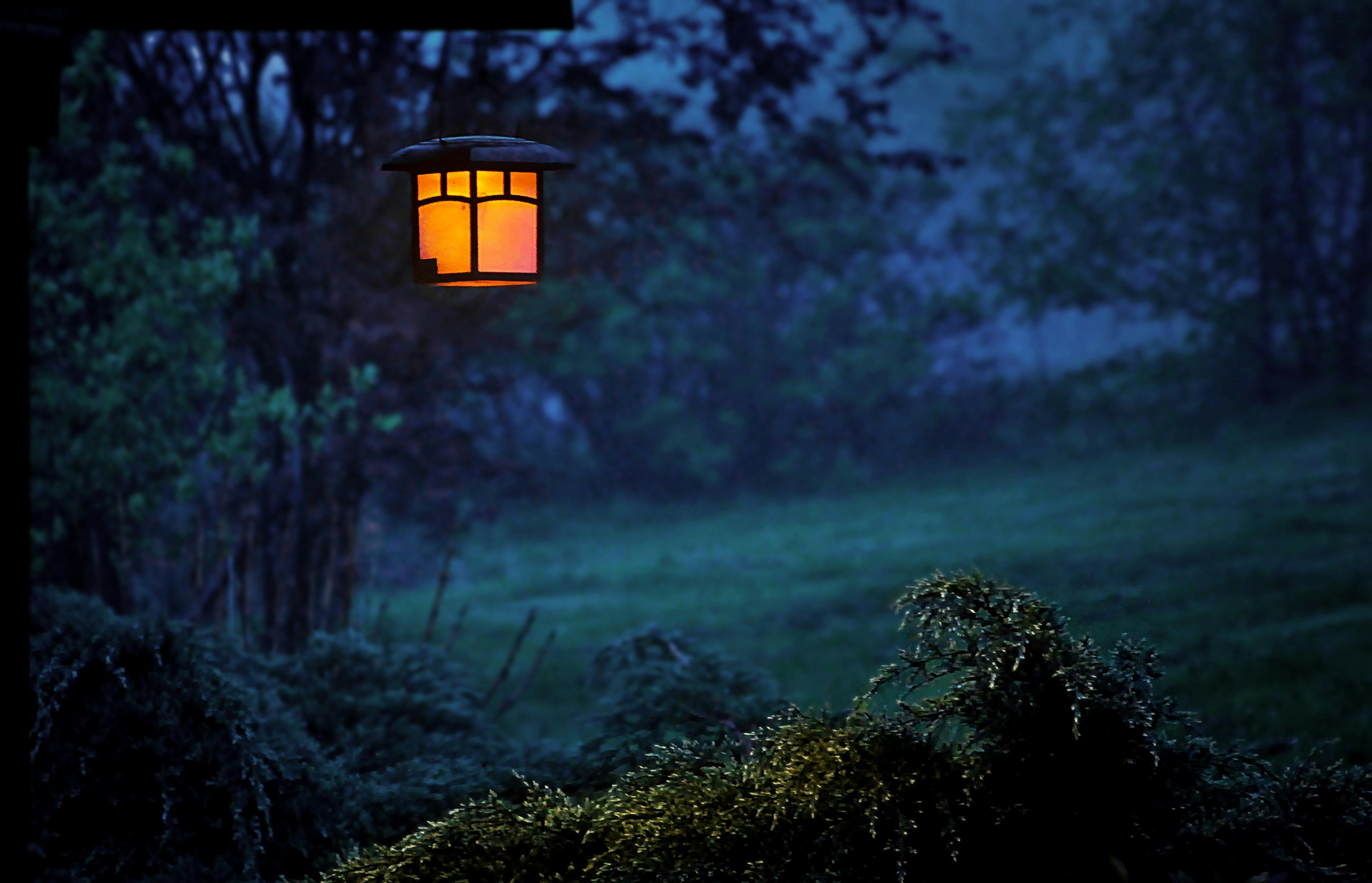 A peaceful, blue-toned dusk scene in a garden with a single, glowing traditional lantern hanging from a tree branch.