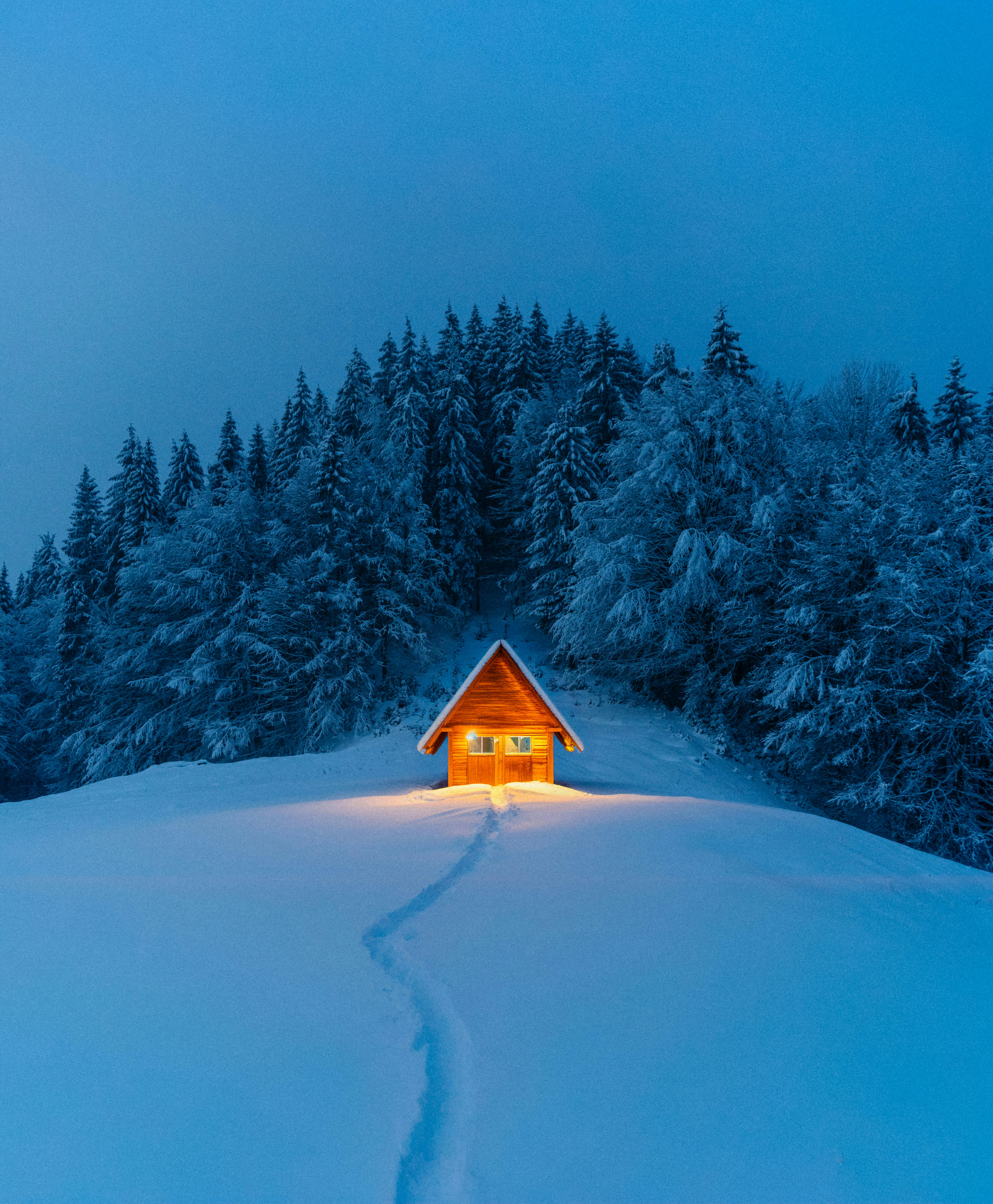 A small, cozy wooden cabin glowing with warm light from the inside, nestled in a deep, snow-covered forest during the blue hour.